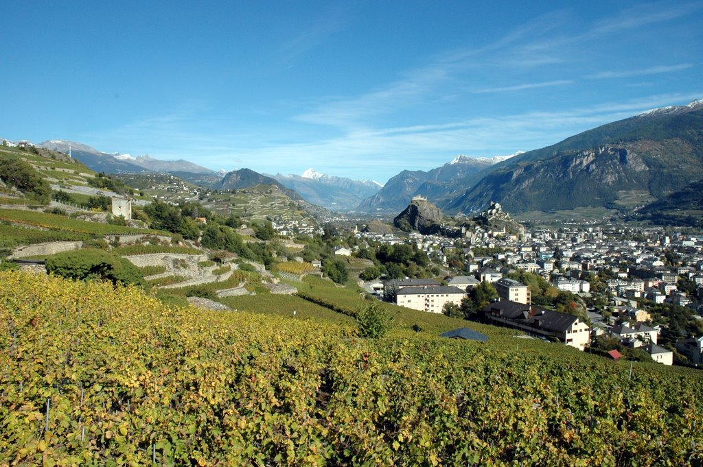 Weinregion Schweiz
